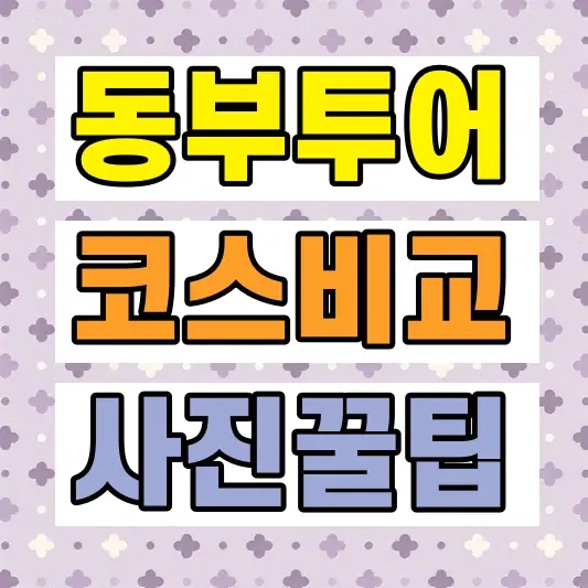 발리 동부투어 가격 비교