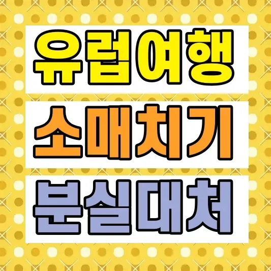 파리 소매치기 예방 준비물