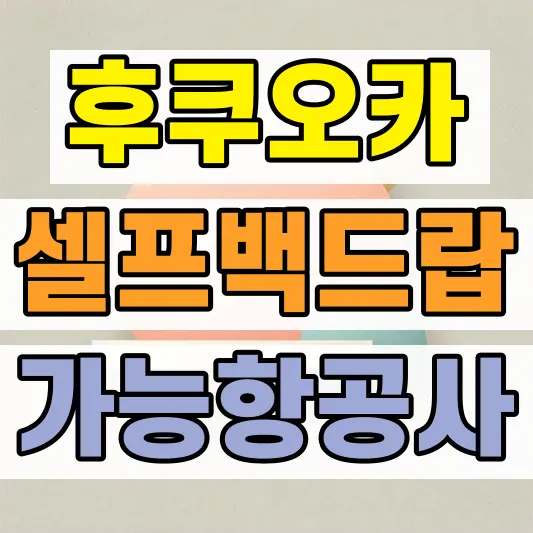 후쿠오카공항 셀프체크인 셀프백드랍 항공사