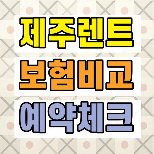 제주 렌터카 가격 보험 비교